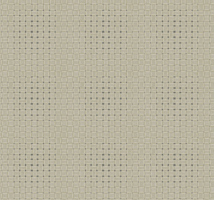 Paradise Island Weave Green Wallpaper by York Wallcoverings Tropics Resource Library Covers about 60.8 square feet 27-in by 27-ft long roll Prepasted 25.25 - Fabric Carolina -