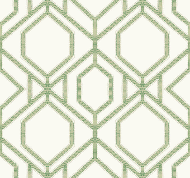 Sawgrass Trellis Green Wallpaper by York Wallcoverings Earthy Tones Covers about 60.8 square feet 27-in by 27-ft long roll Prepasted 25.25 - Fabric Carolina -