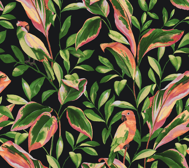 Tropical Love Birds Black Wallpaper by York Wallcoverings Tropics Resource Library Covers about 60.8 square feet 27-in by 27-ft long roll Prepasted 24 - Fabric Carolina -