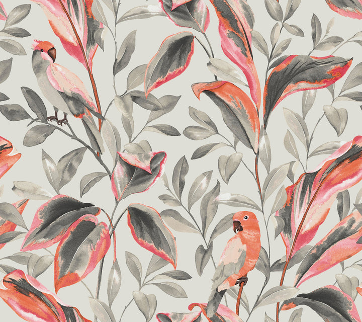 Tropical Love Birds Grey Wallpaper by York Wallcoverings Tropics Resource Library Covers about 60.8 square feet 27-in by 27-ft long roll Prepasted 24 - Fabric Carolina -
