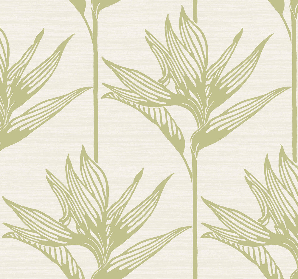 Bird of Paradise Green Wallpaper by York Wallcoverings Tropics Resource Library Covers about 60.8 square feet 27-in by 27-ft long roll Prepasted 25.25 - Fabric Carolina -
