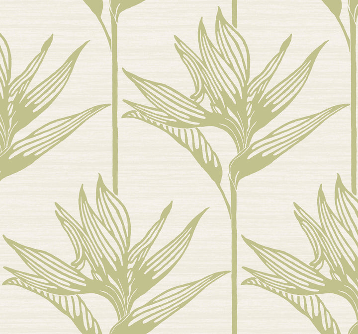Bird of Paradise Green Wallpaper by York Wallcoverings Tropics Resource Library Covers about 60.8 square feet 27-in by 27-ft long roll Prepasted 25.25 - Fabric Carolina -