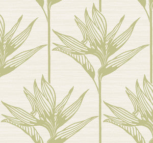 Bird of Paradise Green Wallpaper by York Wallcoverings