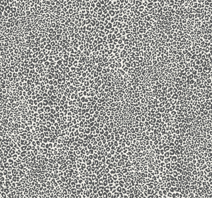 Leopard King Charcoal Wallpaper by York Wallcoverings Tropics Resource Library Covers about 60.8 square feet 27-in by 27-ft long roll Prepasted 25.25 - Fabric Carolina -