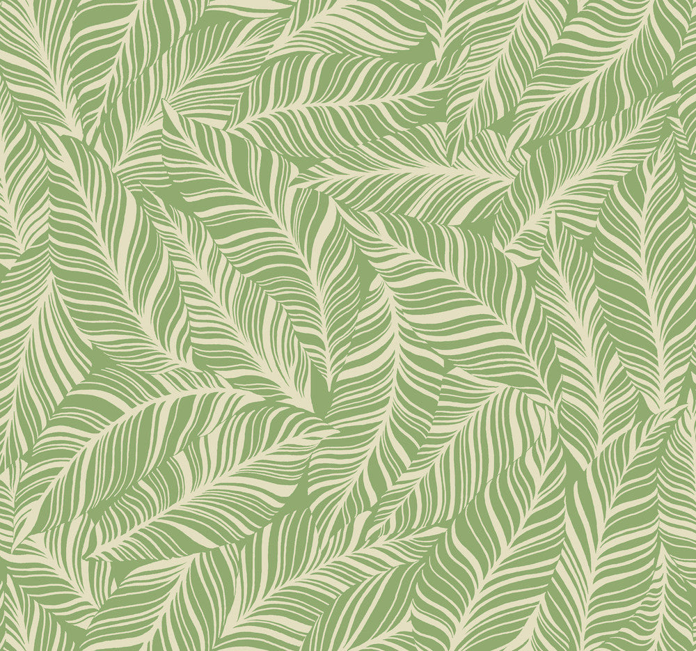 Rainforest Canopy Green Wallpaper by York Wallcoverings Tropics Resource Library Covers about 60.8 square feet 27-in by 27-ft long roll Prepasted 25.25 - Fabric Carolina -