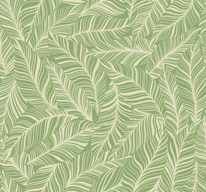 Rainforest Canopy Green Wallpaper by York Wallcoverings Tropics Resource Library Covers about 60.8 square feet 27-in by 27-ft long roll Prepasted 25.25 - Fabric Carolina -