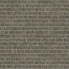 Blue Grass Band Nutmeg TC70018 by Seabrook Designs Wallpaper