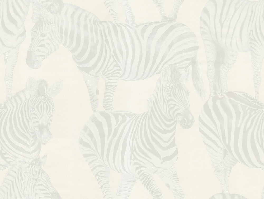 Zebra Romance Carina TCW007TCAHOUZ006 by Dolce & Gabbana Casa Designer Wallpaper