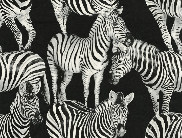 Zebra Romance Contrasto TCW007TCAHOUZ011 by Dolce & Gabbana Casa Designer Wallpaper