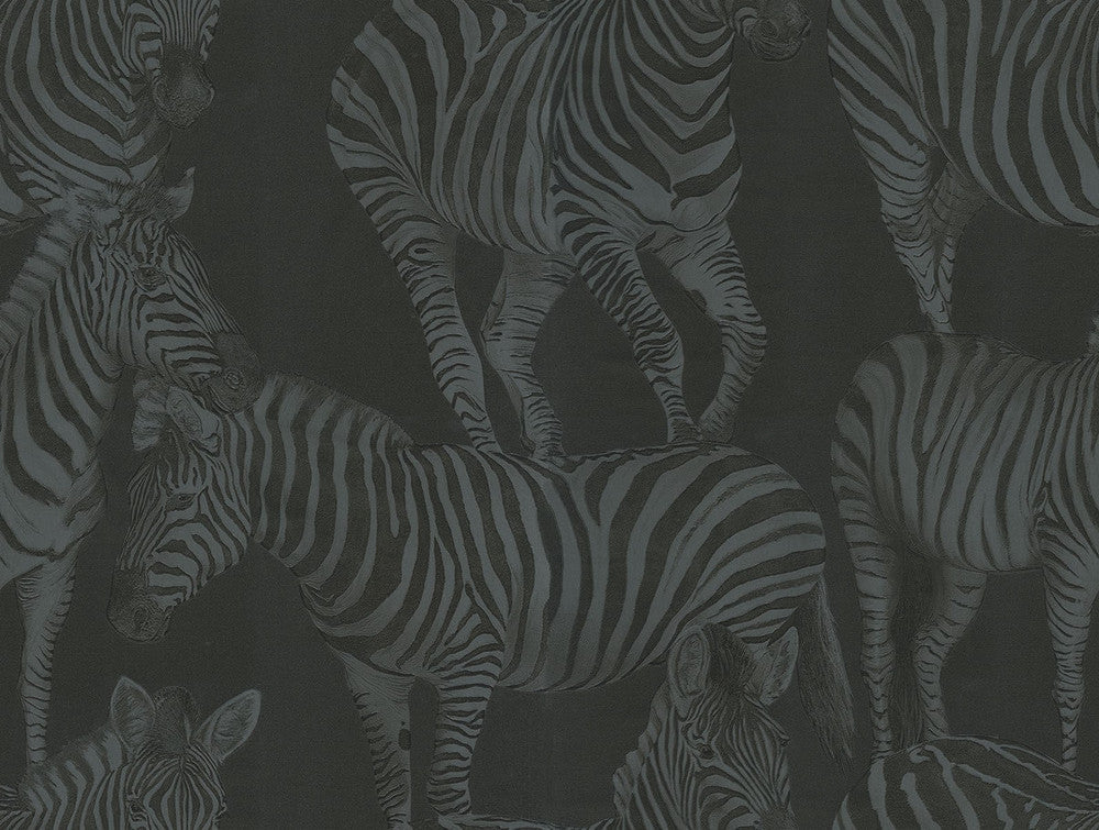 Zebra Romance Misterioso TCW007TCAHOUZ018 by Dolce & Gabbana Casa Designer Wallpaper