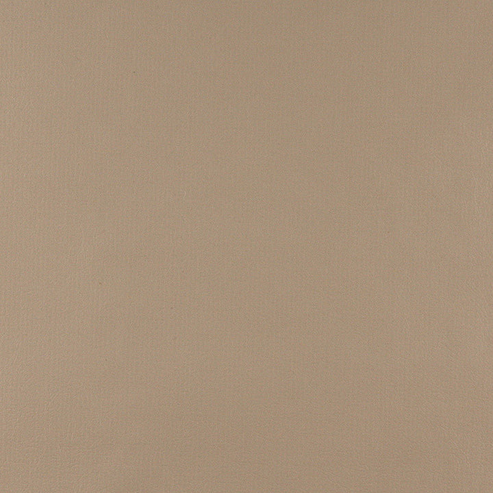 TD-Camel Camel by Charlotte Fabric Top Draw 100% 18oz. Vinyl W/ Polyester Asia Exceeds 200,000 Wyzenbeek Rubs (Heavy Duty) No Repeat 61 Inches - Fabric Carolina -