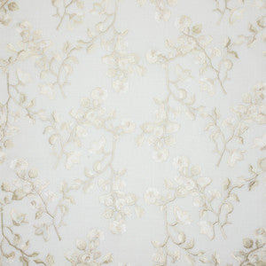 Tedric 2 Champagne by Stout Fabric
