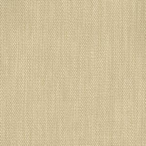 Temple Sugarcane 025 by Norbar Fabric 52% POLYESTER 20% COTTON CHINA 51,000 WYZENBEEK </p><p>Repeat: 57 - Fabric Carolina -