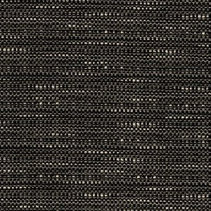 Tess Graphite 849 by Norbar Fabric 60% POLYESTER 40% RAYON CHINA 36,000 WYZENBEEK </p><p>Repeat: 1 1/2"V 1/4"H 56 - Fabric Carolina -