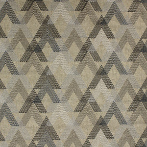 Teton Tundra by Richloom Fabric