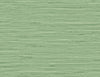 Marion Faux Arrowroot Spring Forest TG60534 by DuPont Wallpaper
