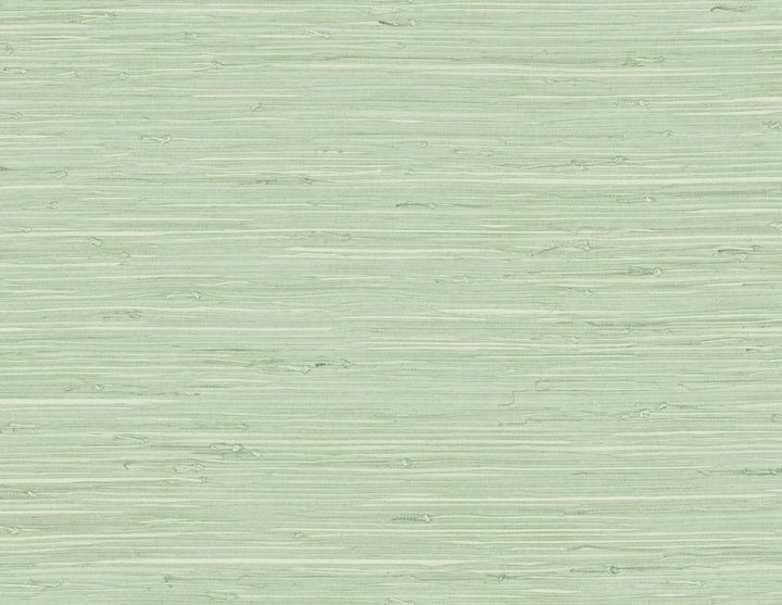 Marion Faux Arrowroot Frosted Grass by Seabrook Wallpaper Tedlar Textures United States 60.75 0" 27" - Fabric Carolina -