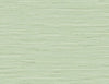 Marion Faux Arrowroot Frosted Grass TG60535 by DuPont Wallpaper