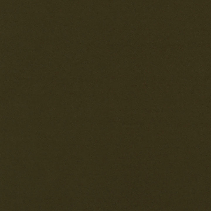 Theodore 79J7031 by JF Crypton Fabric Crypton Binder 100% Polyester Taiwan 50000 Horizontal: and Vertical: 54 - Fabric Carolina -