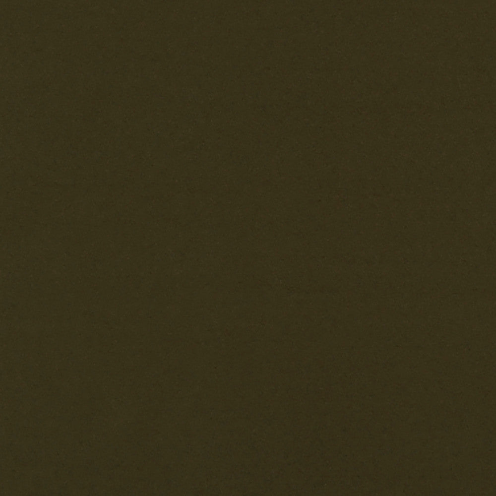 Theodore 79J7031 by JF Crypton Designer Fabric Crypton Binder 100% Polyester Taiwan 50000 Horizontal: and Vertical: 54 - Swanky Fabrics -