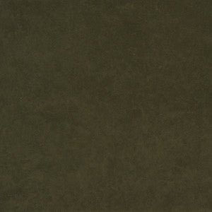 Thornhill 76J7031 by JF Crypton Fabric