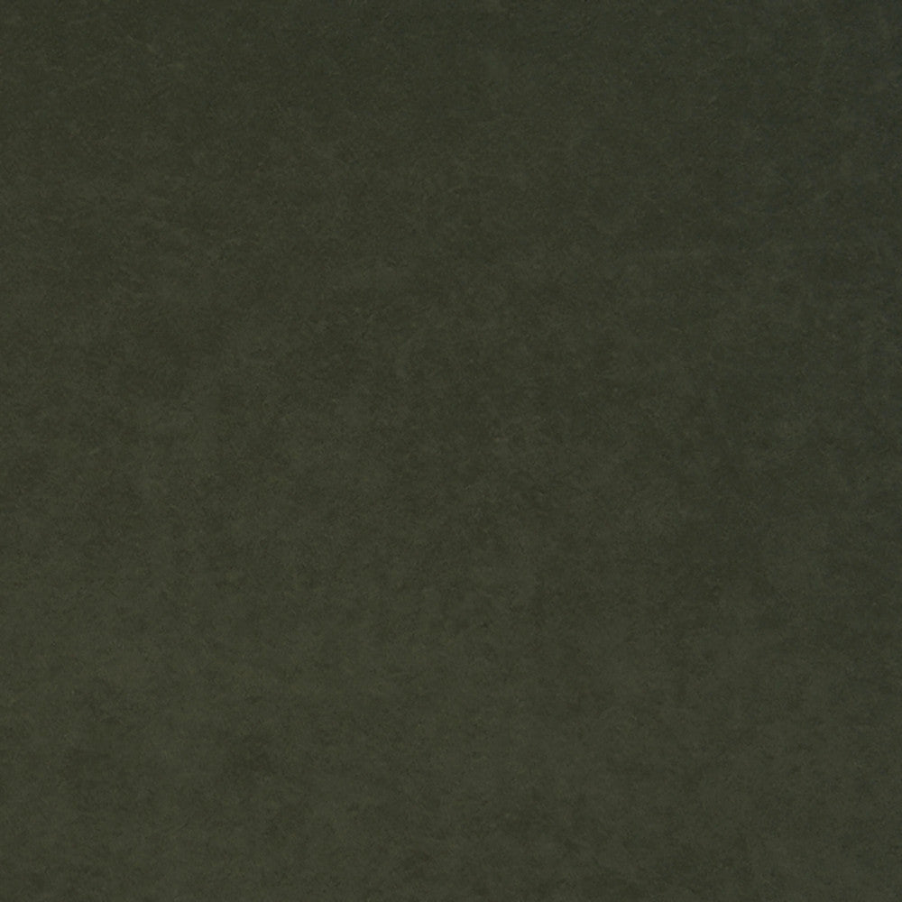 Thornhill 78J7031 by JF Crypton Designer Fabric Crypton Binder 100% Polyester United States 50000 Horizontal: and Vertical: 54 - Swanky Fabrics -