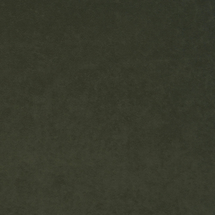 Thornhill 78J7031 by JF Crypton Designer Fabric Crypton Binder 100% Polyester United States 50000 Horizontal: and Vertical: 54 - Swanky Fabrics -