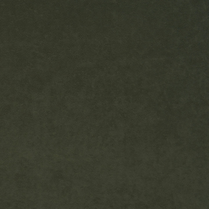 Thornhill 78J7031 by JF Crypton Fabric Crypton Binder 100% Polyester United States 50000 Horizontal: and Vertical: 54 - Fabric Carolina -