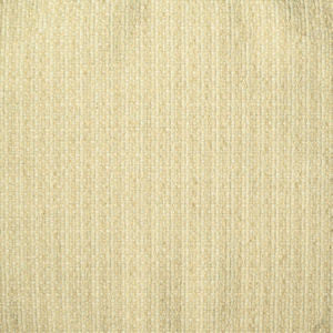 Thunder Natural 019 by Norbar Designer Fabric PANAMA 88% POLYESTER-12% LINEN INDIA 54 - Swanky Fabrics -