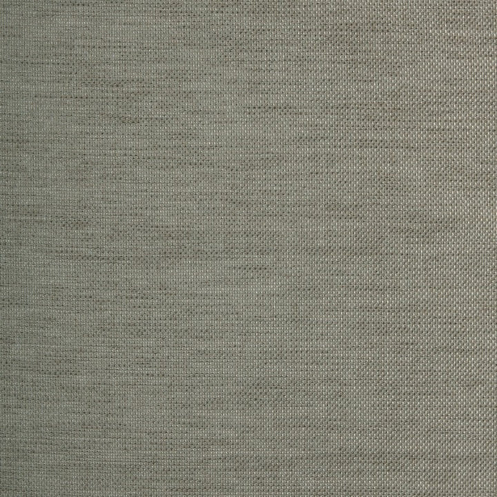 Tetra # 11 Chinchilla by Maxwell Fabric 93% POLYESTER 7% COTTON CHINA </p><p>Repeat: Horizontal: and Vertical: 56.6" - Fabric Carolina -