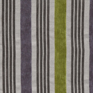 Table Mountain # 504 Grassland by Maxwell Fabric