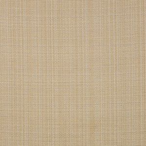 Ta-Da # 301 Desert by Maxwell Fabric