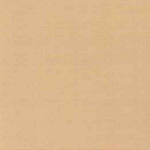 Tiara Biscuit 133 by Norbar Fabric See Sample 100% SILK DUPIONI INDIA 9,000 WYZENBEEK 54" - Fabric Carolina -
