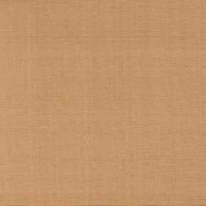 Tiara Caramel 134 by Norbar Fabric See Sample 100% SILK DUPIONI INDIA 9,000 WYZENBEEK 54" - Fabric Carolina -