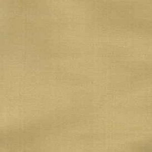 Tiara Fawn by Norbar Fabric See Sample 100% SILK DUPIONI INDIA 9,000 WYZENBEEK 54" - Fabric Carolina -