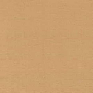 Tiara Nugget 135 by Norbar Fabric See Sample 100% SILK DUPIONI INDIA 9,000 WYZENBEEK 54" - Fabric Carolina -