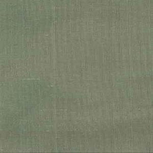 Tiara Polar 157 by Norbar Fabric See Sample 100% SILK DUPIONI INDIA 9,000 WYZENBEEK 54" - Fabric Carolina -