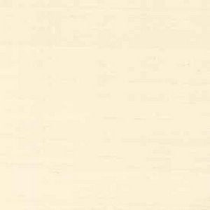Tiara Talc 173 by Norbar Fabric See Sample 100% SILK DUPIONI INDIA 9,000 WYZENBEEK 54" - Fabric Carolina -