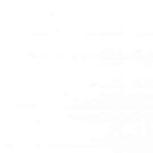 Tiara White 102 by Norbar Fabric See Sample 100% SILK DUPIONI INDIA 9,000 WYZENBEEK 54" - Fabric Carolina -
