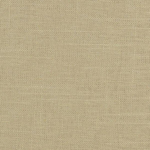 Ticonderoga 11 Natural by Stout Fabric