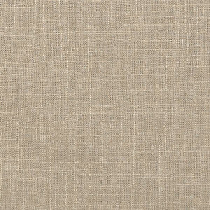 Ticonderoga 5 Putty by Stout Fabric