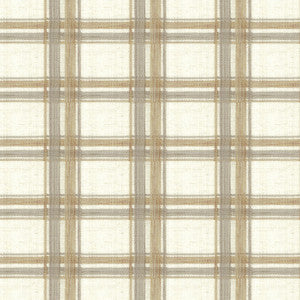 Tides 4 Ginger by Stout Fabric