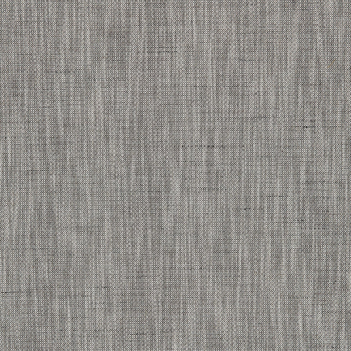 Tilden 2 Salt/Pepper by Marcus William Fabric KAI/MARCUS WILLIAM SAVANNAH 69%POL 31%COT INDIA WYZENBEEK 50 000 DOUBLE RUB WEAR TEST (HEAVY DUTY) Horizontal: 0 and Vertical: 0 54 in - Fabric Carolina -