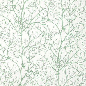 Timber Top Grass by Kravet Fabric