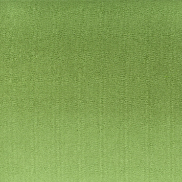 Tinker 2 Basil by Stout Fabric Stout Fabric Tinker 2 BasilFabric RAINBOW LIBRARY SPRING/EVERGREEN INDONESIA </p><p>Repeat: H: 0.000, V: 0.000 54 in - Fabric Carolina -