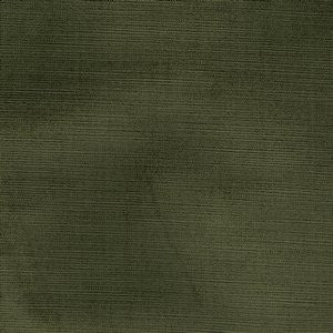 Tioga Thyme 348 by Norbar Fabric