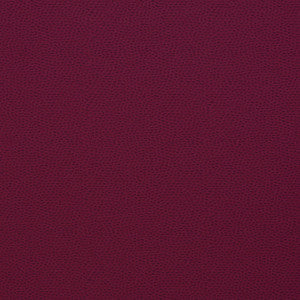 Titan 3 Raspberry by Marcus William Fabric
