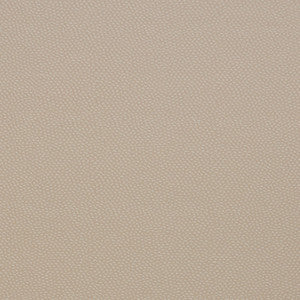 Titan 5 Raffia by Marcus William Fabric