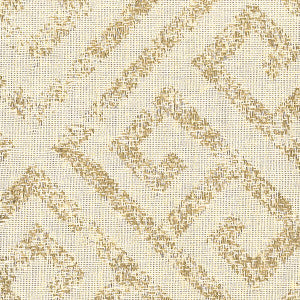 Titus 2 Desert by Sunbrella Fabric