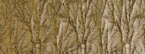 Tivo Burnished Bronze by Norbar Fabric